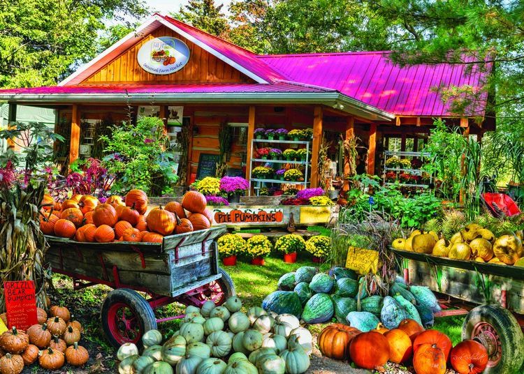 1000 PC - 446 - PUZZLE - HARVEST MARKET