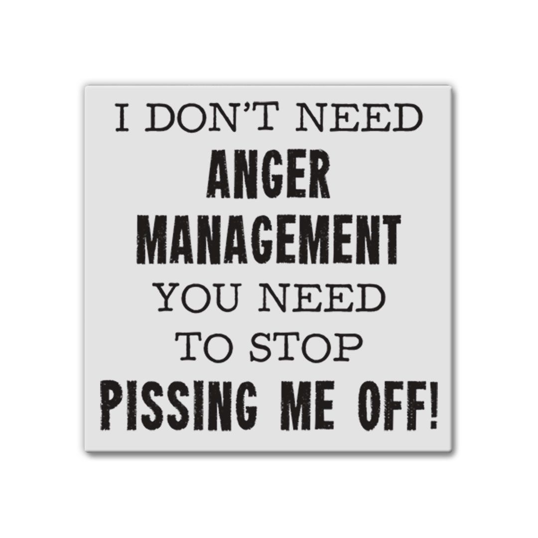 013-071 - MAGNET - ANGER MANAGEMENT