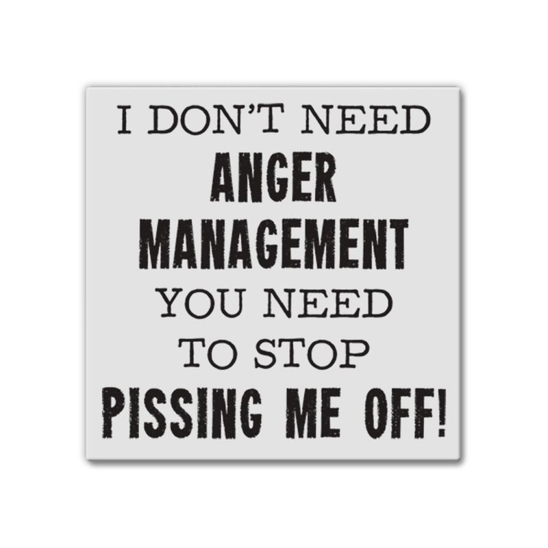 013-071 - MAGNET - ANGER MANAGEMENT