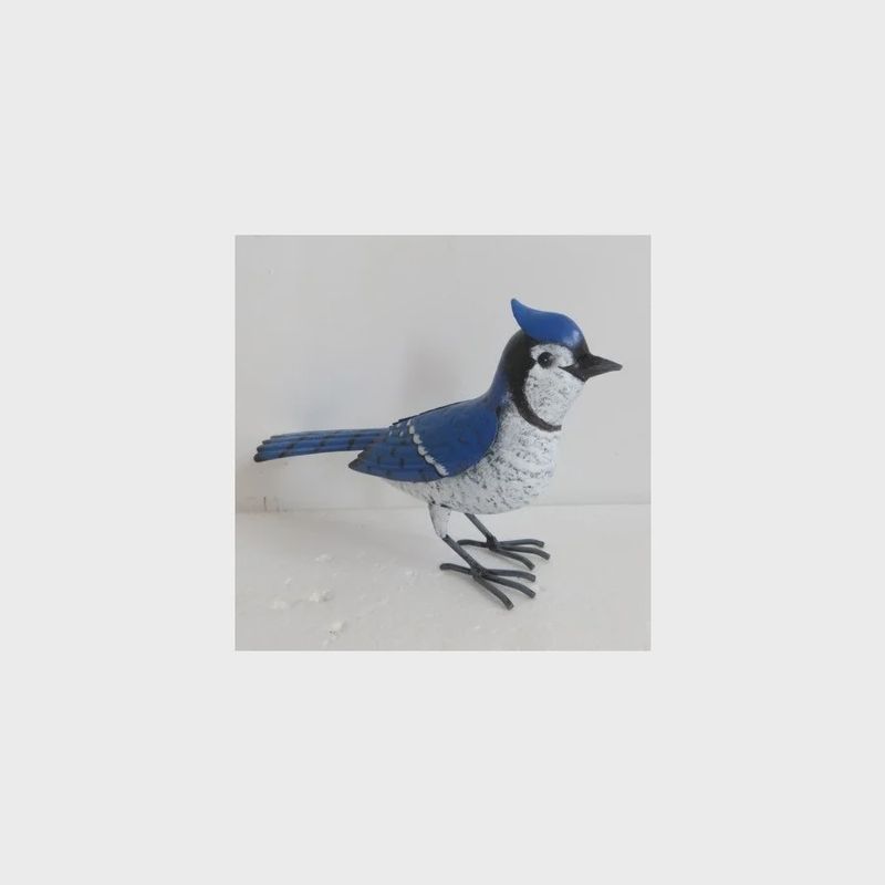 GG9652 - BLUE JAY