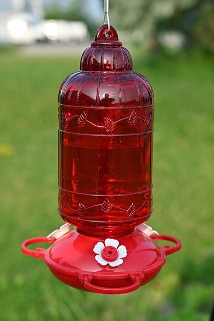 88062 - HUMMINGBIRD FEEDER - ANTIQUE BIRD CAGE