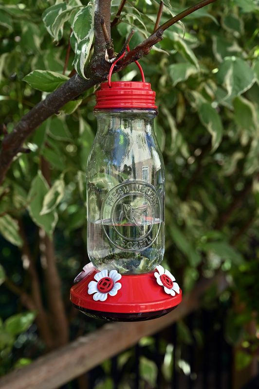 88158 - GLASS HUMMINGBIRD FEEDER - MILK JAR DESIGN