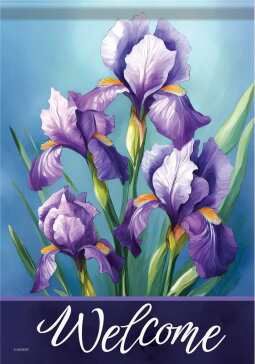 CS54368 - LARGE FLAG - IRIS WELCOME