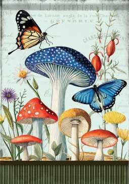 CS54298 - LARGE FLAG - MUSHROOM GARDEN