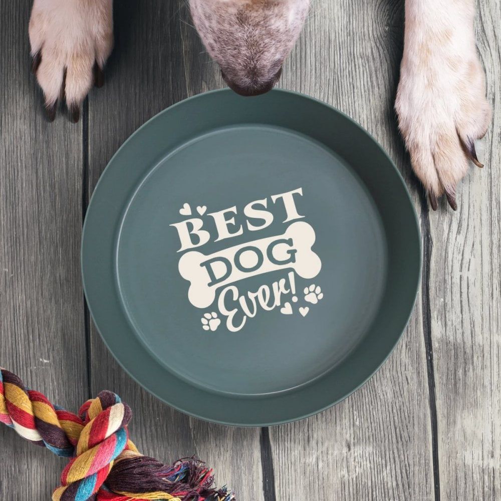 DB000 - DOG BOWL, NAME/TEXT: BEST DOG EVER