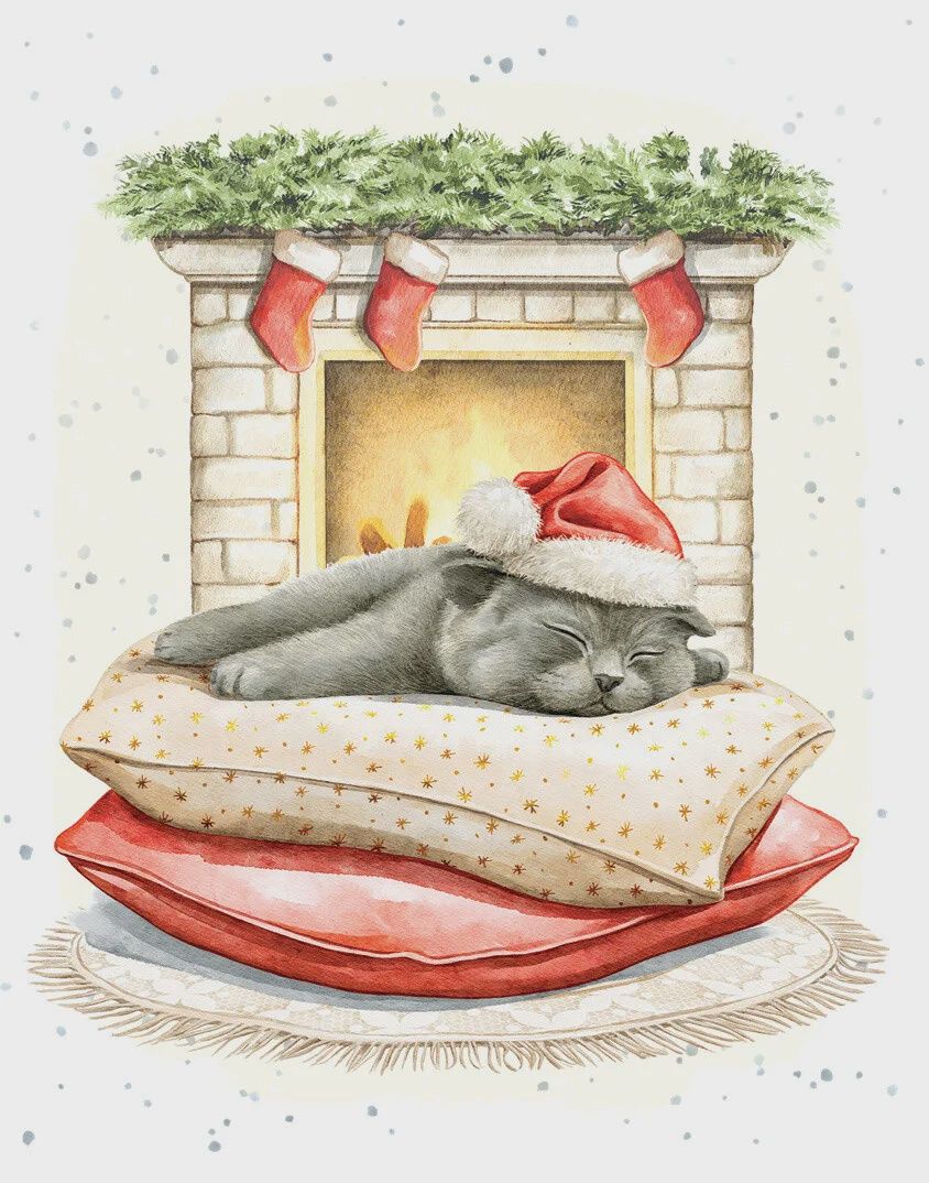 8947-XMEHOP0265 - ENC/FIRESIDE SLUMBER