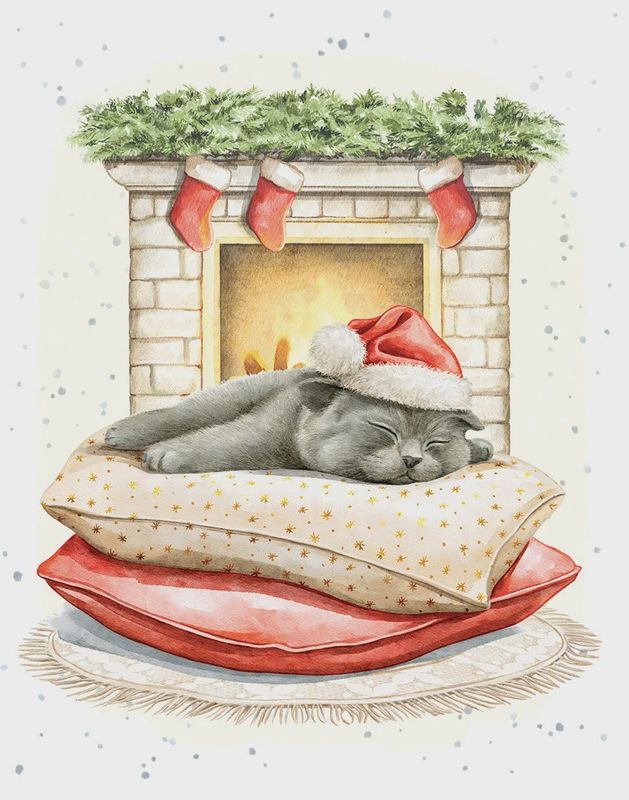 8947-XMEHOP0265 - ENC/FIRESIDE SLUMBER