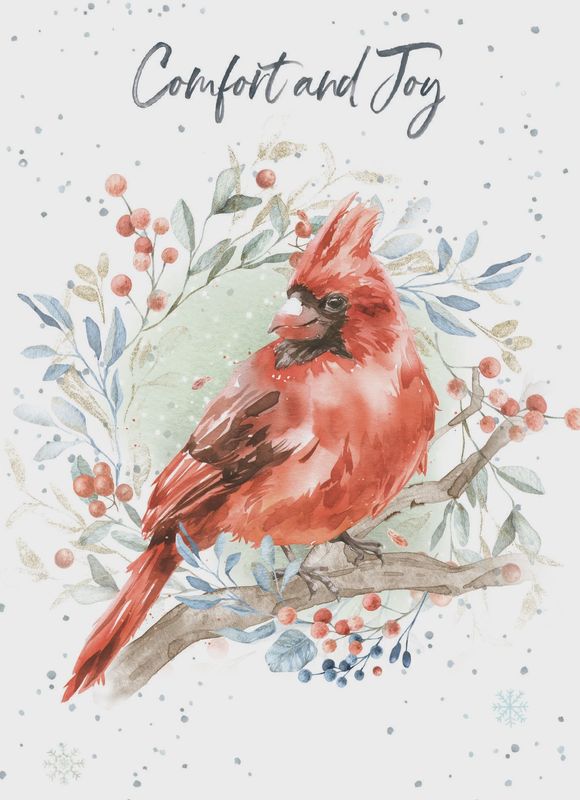 8947-XMHOP0021 - XM/COMFORT AND JOY