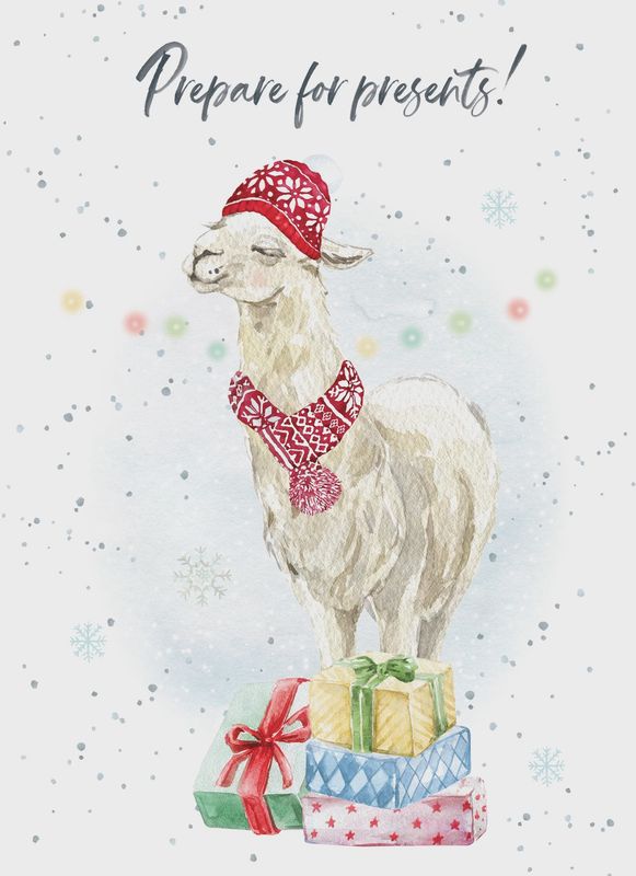 8947-XMHOP0186 - HOL/A LITTLE NAUGHTY