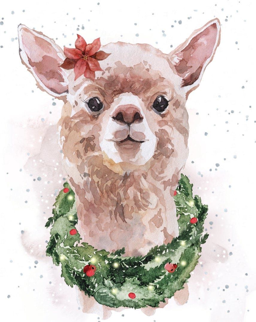 8947-XMEHOP0036 - ENC/JOLLY LLAMA