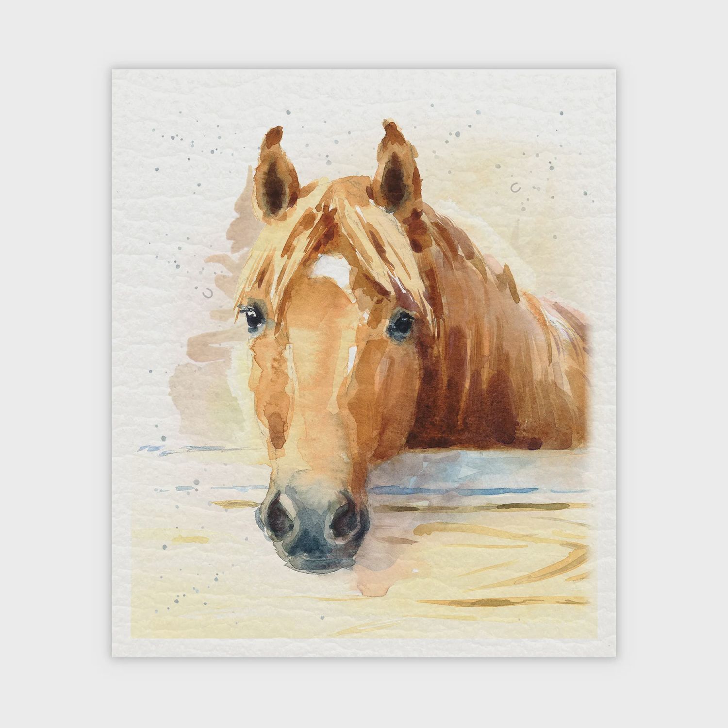 947A-SDC0064 - SWEDISH DISH CLOTH S/2 - HARLOW THE HORSE