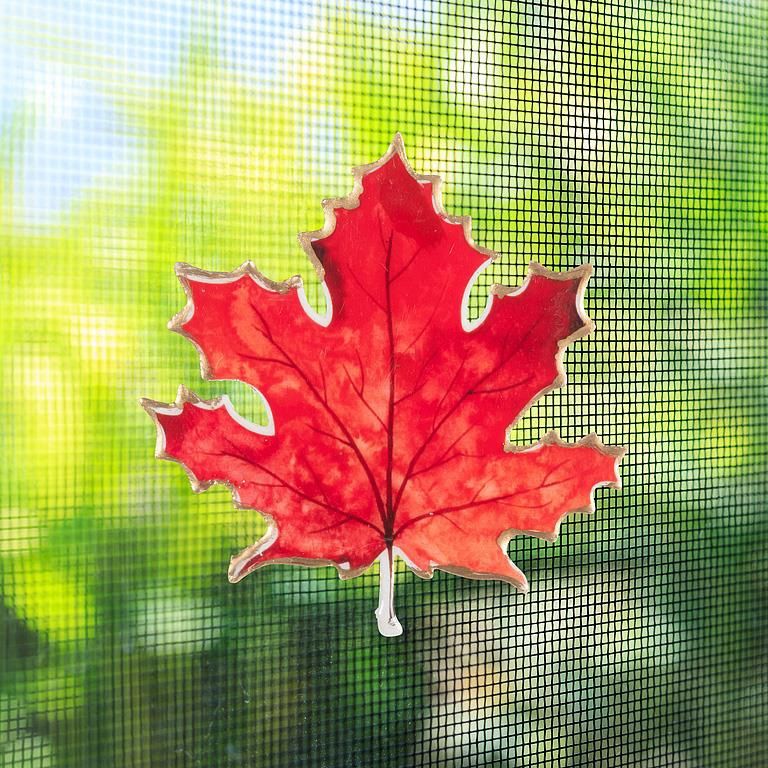 37-SNAP-108 - MAPLE LEAF 2-SIDED SCREEN SAVER