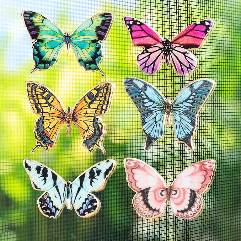 37-SNAP-100 - BUTTERFLY 2-SIDED SCREEN SAVER / 6ASST
