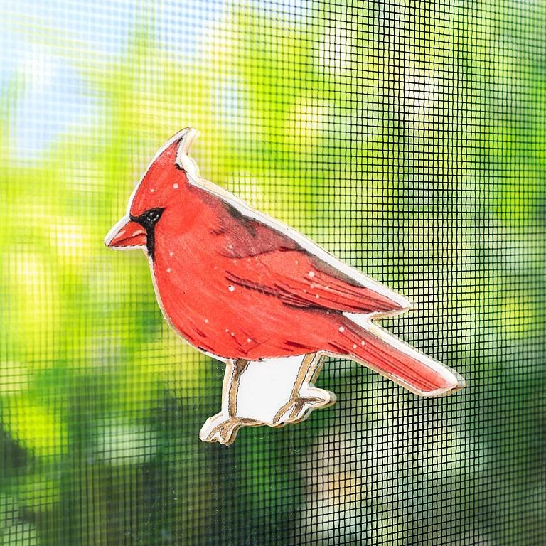37-SNAP-101 - CARDINAL 2-SIDED SCREEN SAVER