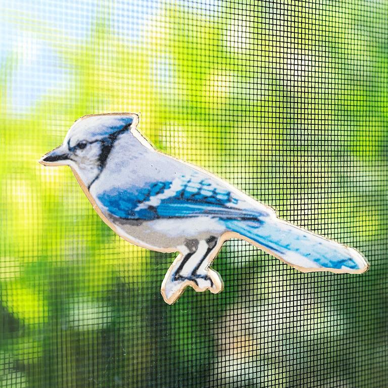 37-SNAP-102 - BLUE JAY 2-SIDED SCREEN SAVER