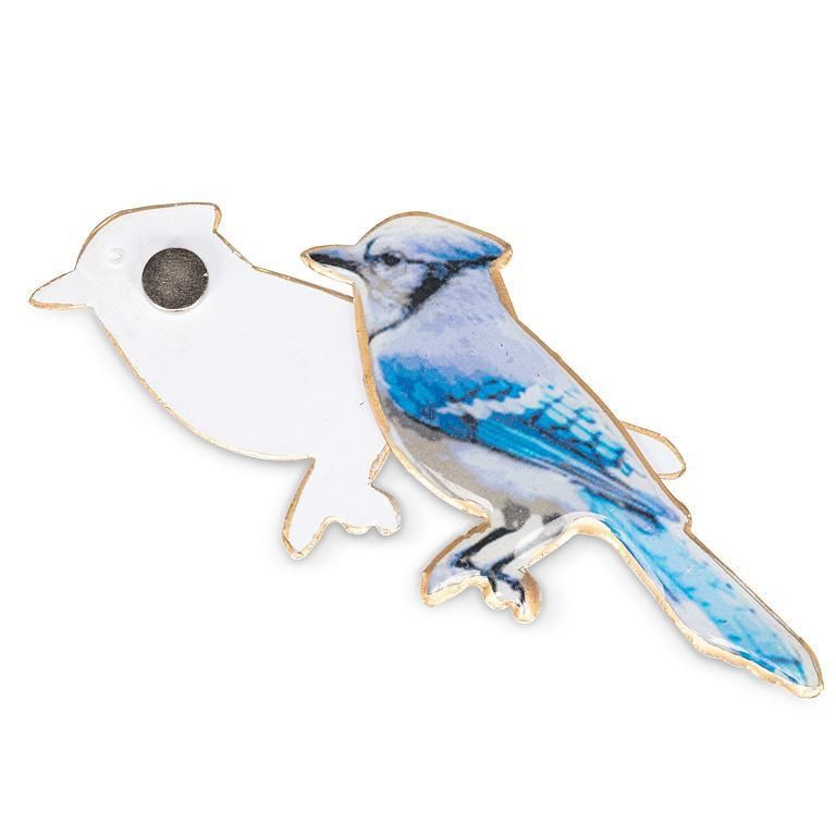 37-SNAP-102 - BLUE JAY 2-SIDED SCREEN SAVER
