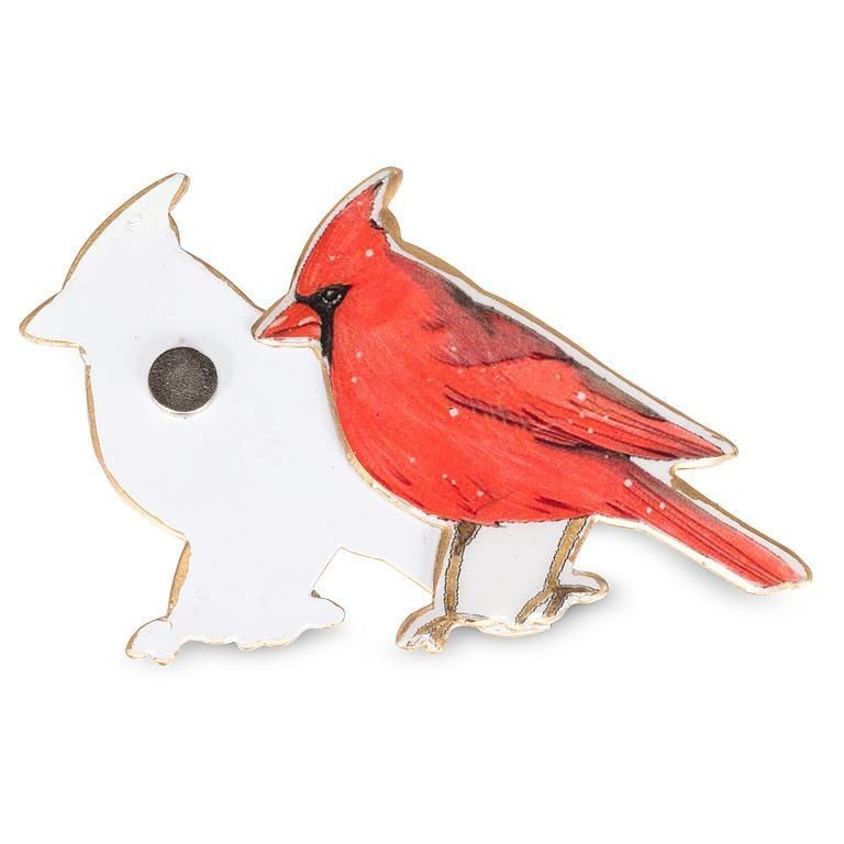 37-SNAP-101 - CARDINAL 2-SIDED SCREEN SAVER