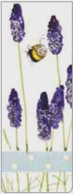 BM-60 - BOOKMARK - LAVENDER