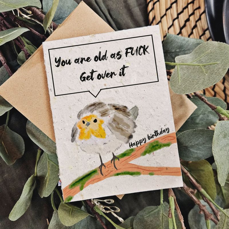 bday011E - OLD AS FUCK / RUDE BIRDS