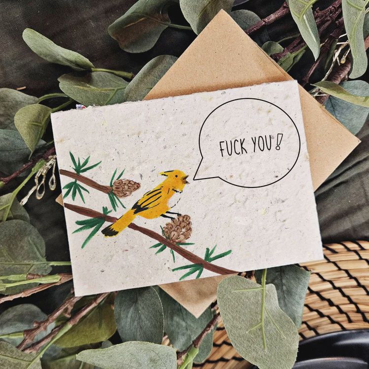 rb001E - FUCK YOU / RUDE BIRDS