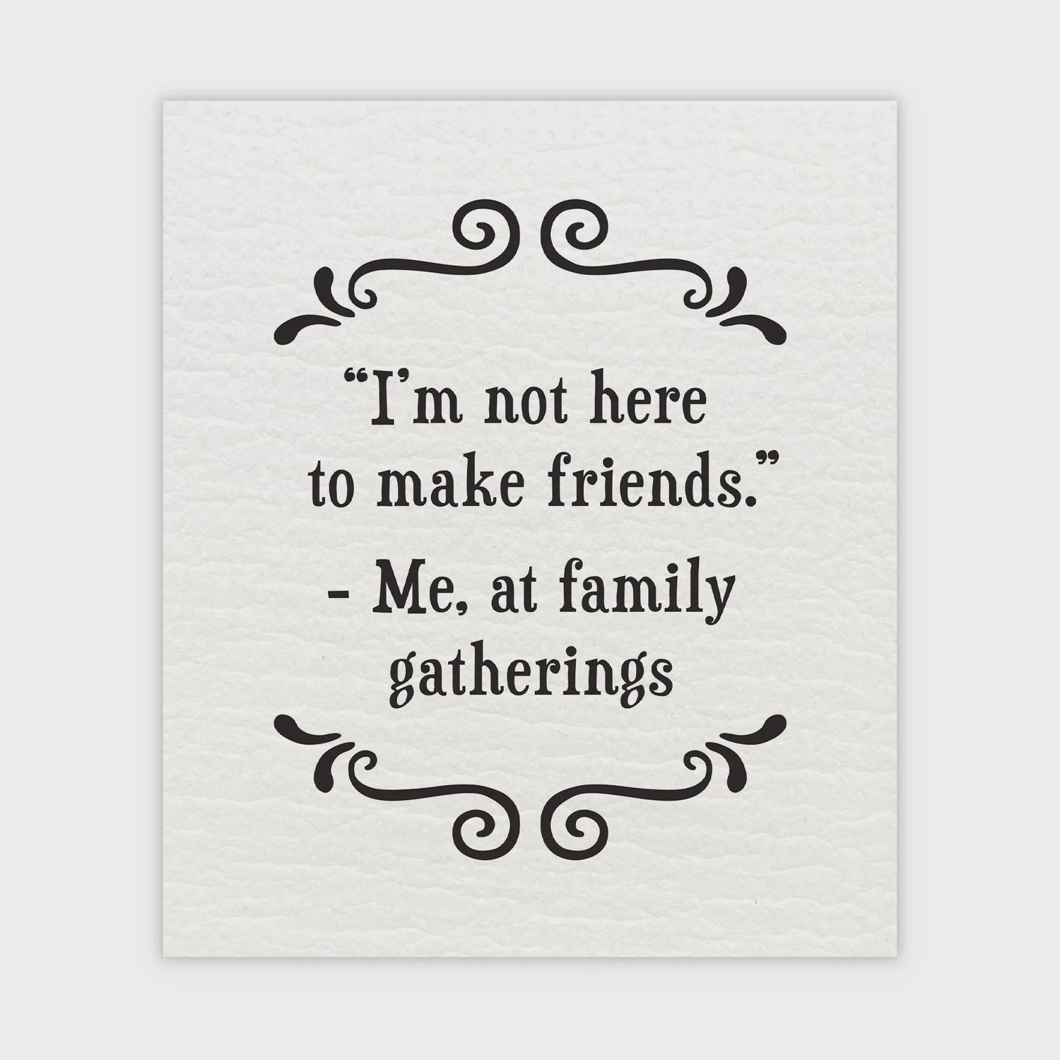 479-SFSD0239 - SCRUNCHY FACE SWEDISH DISHCLOTH / MAKE FRIENDS - SET/2