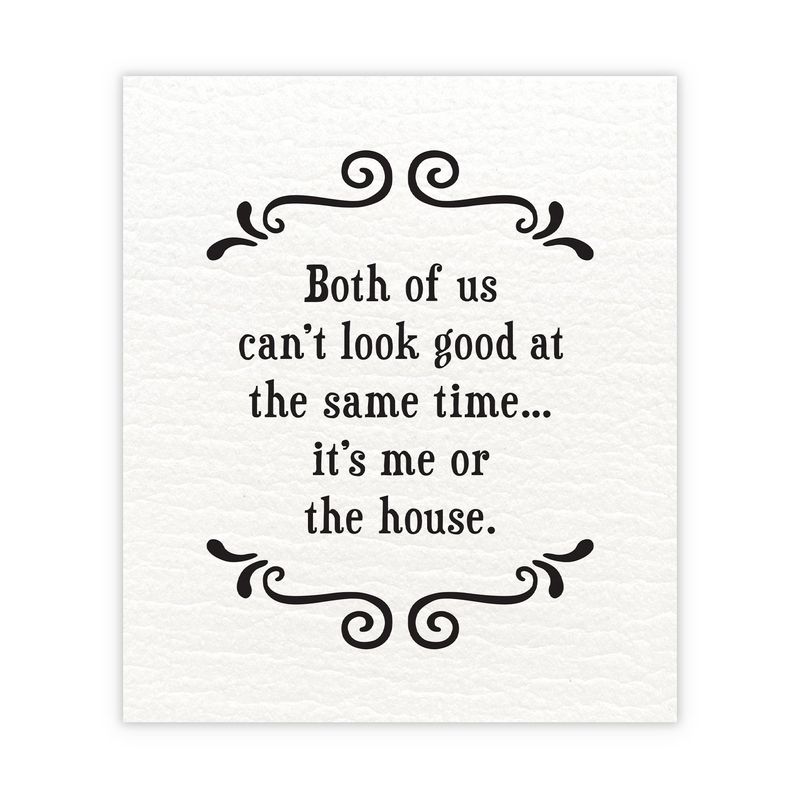 479-SFSD0224 - SCRUNCHY FACE SWEDISH DISHCLOTH / ME OR THE HOUSE - SET/2