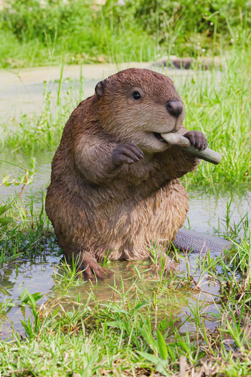 87666-A - BEAVER  / 12.6&quot; H