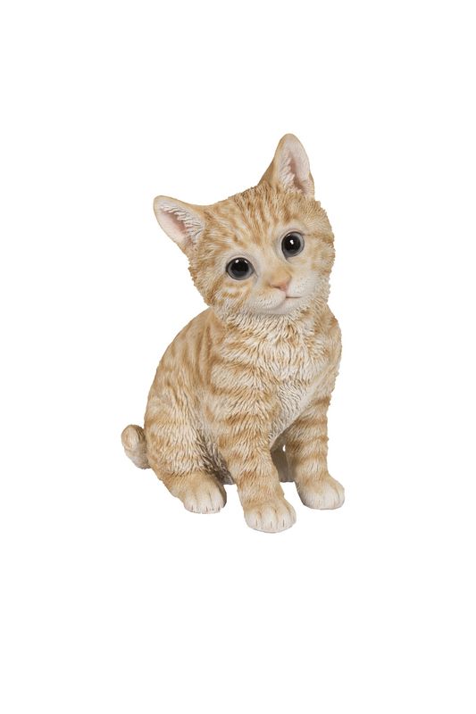 87978-A - TABBY KITTEN SITTING / 7.95&quot; H