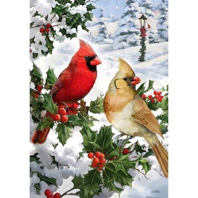 1002 - LARGE FLAG - CARDINAL COUPLE