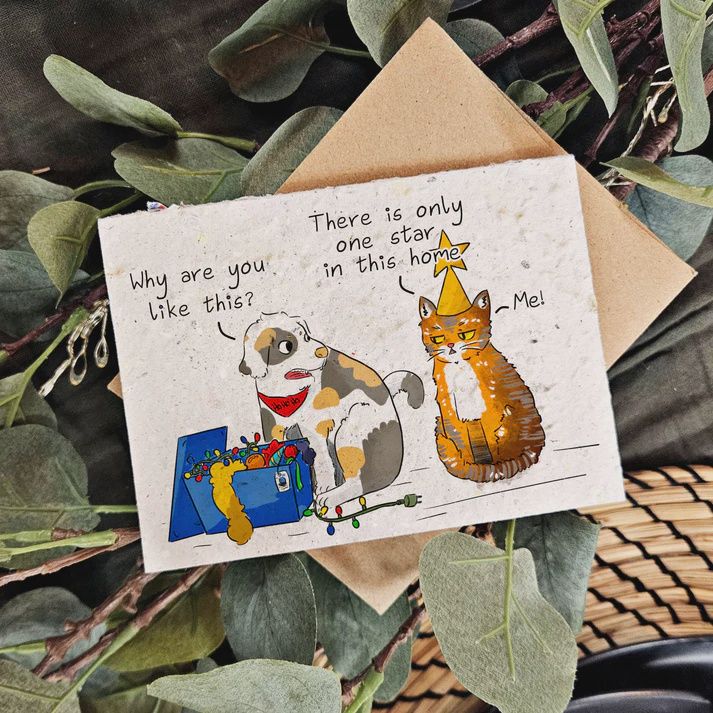 xmas003E - I AM THE STAR