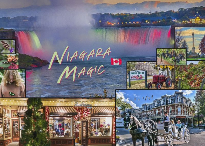 1000 PC - 488 - PUZZLE - NIAGARA MAGIC