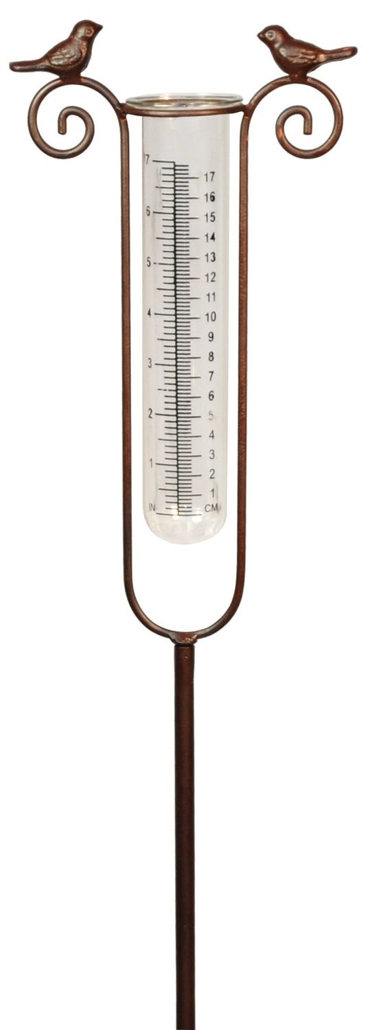 GS11RG - GARDEN STAKE - RAIN GAUGE