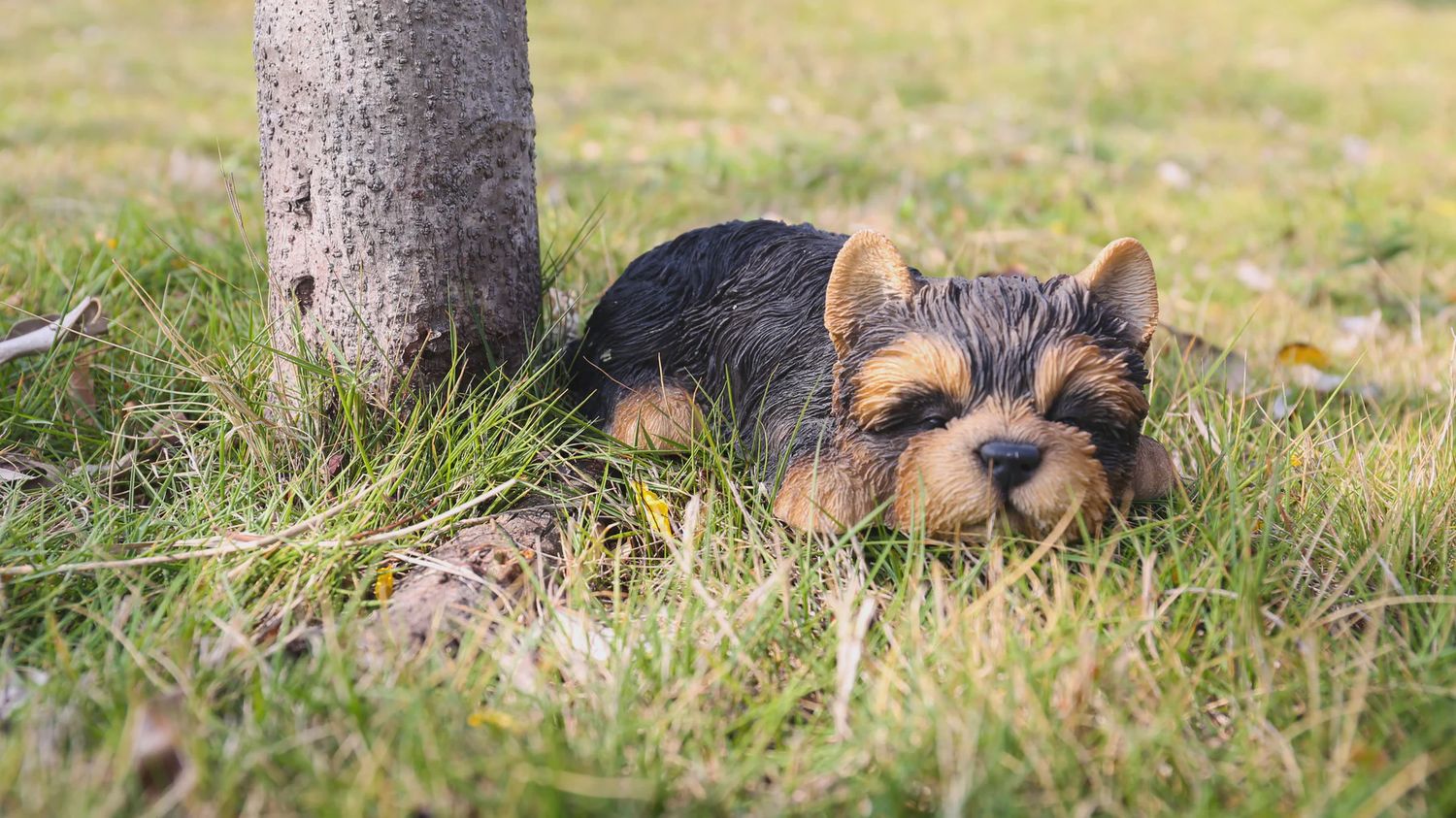 87710-M - YORKSHIRE TERRIER PUPPY SLEEPING / 2.56" H