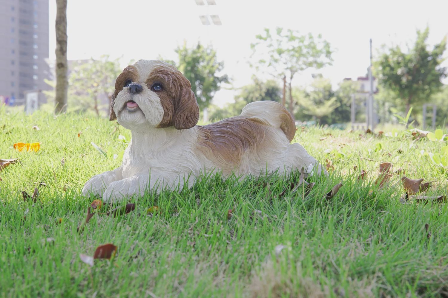 87797 - SHIH TZU LYING DOWN / 7.5" H