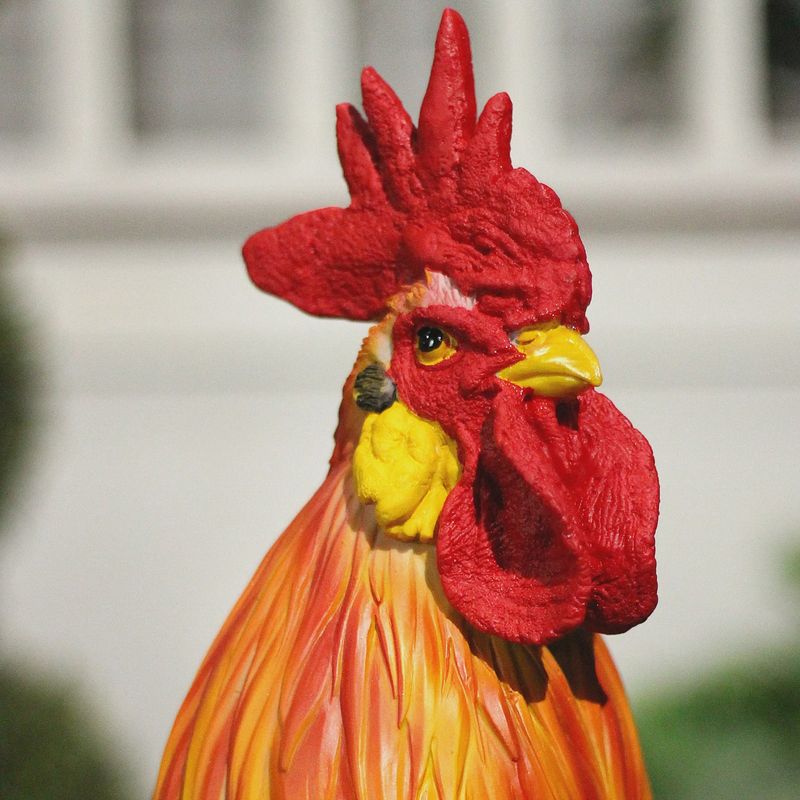 89273 - ROOSTER COLOURED / 24" H