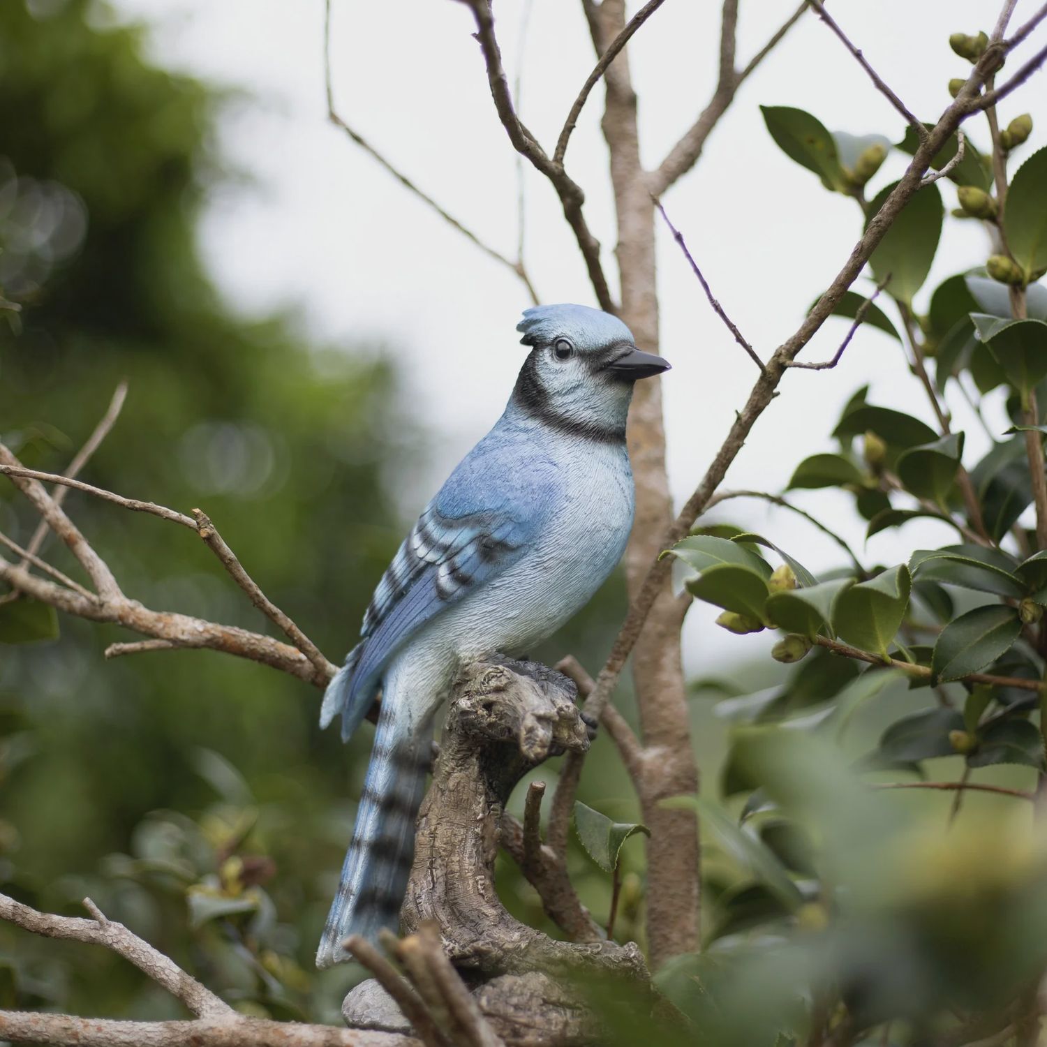 87758-U - BLUE JAY ON BRANCH / 9.75" H