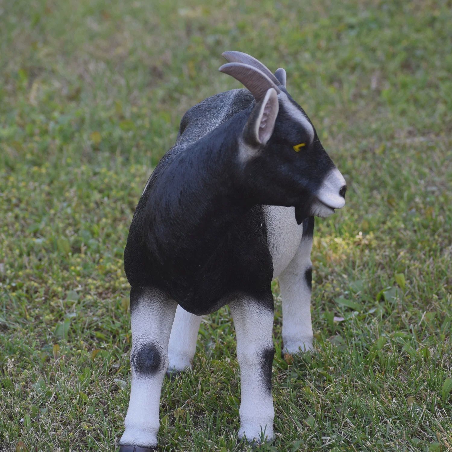 87786 - GOAT / 19.5" H