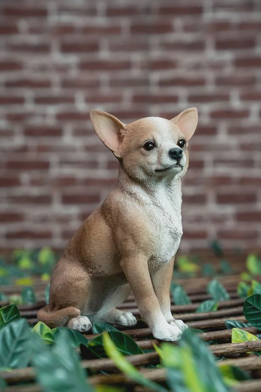 87793 - CHIHUAHUA / 9.5" H
