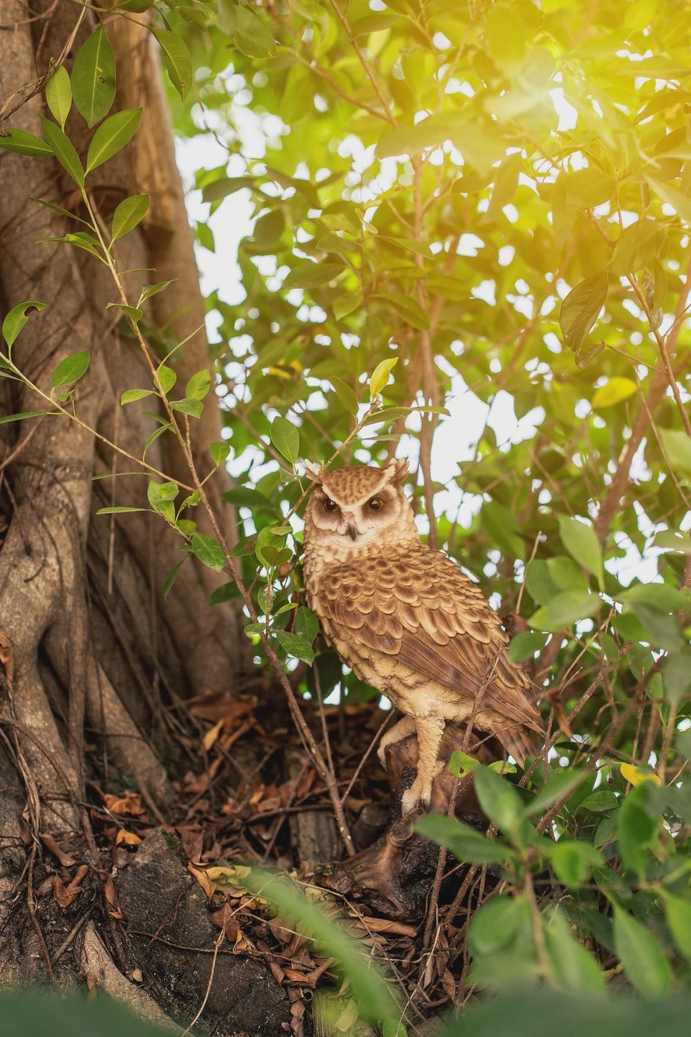 87773 - GREAT HORNED OWL ON STUMP / 14.5" H
