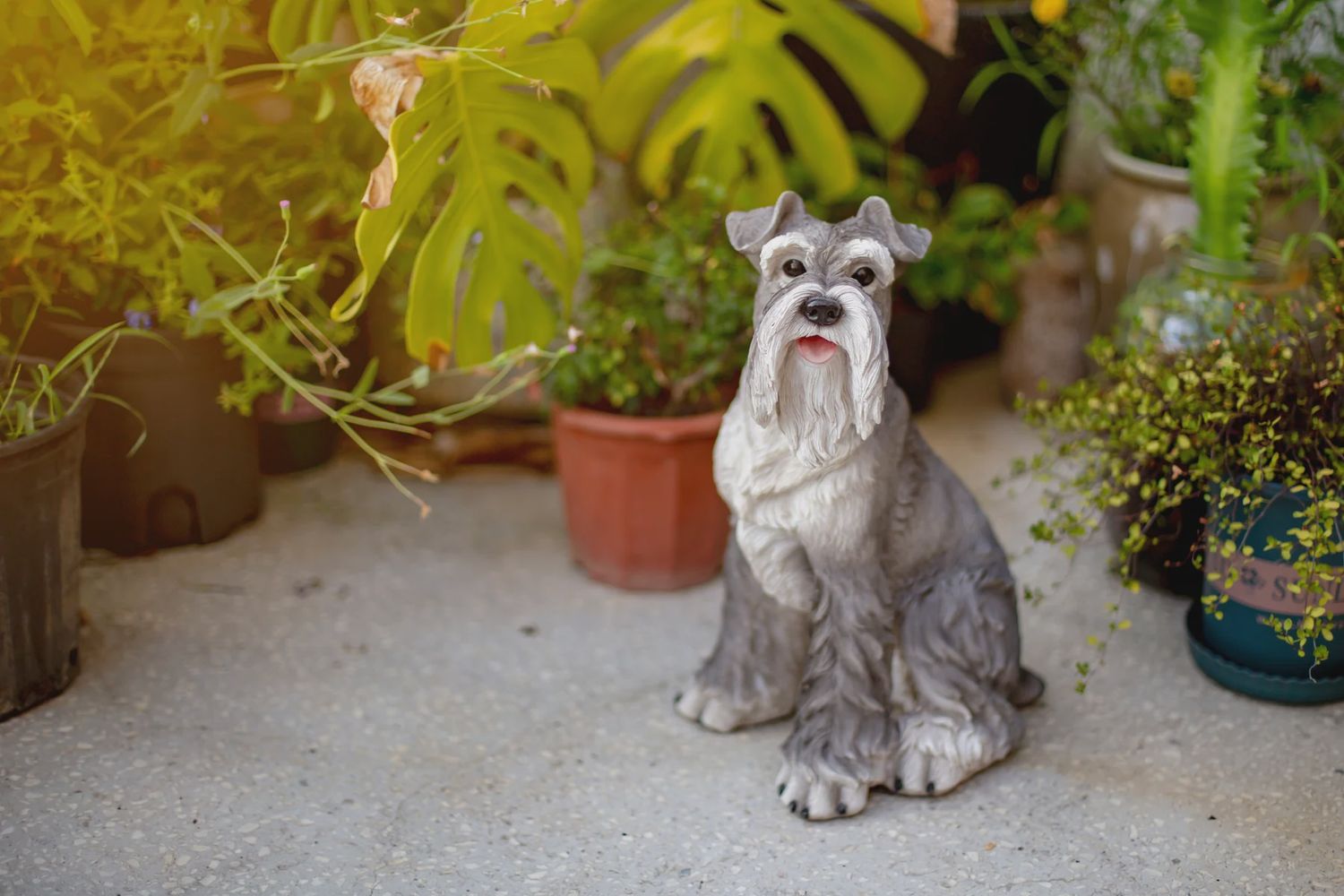 87983 - DOG-SCHNAUZER SITTING / 15.5" H