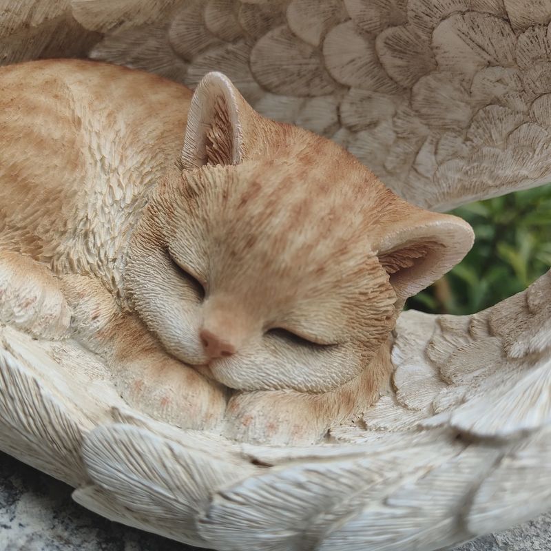 87630-A - ANGEL CAT