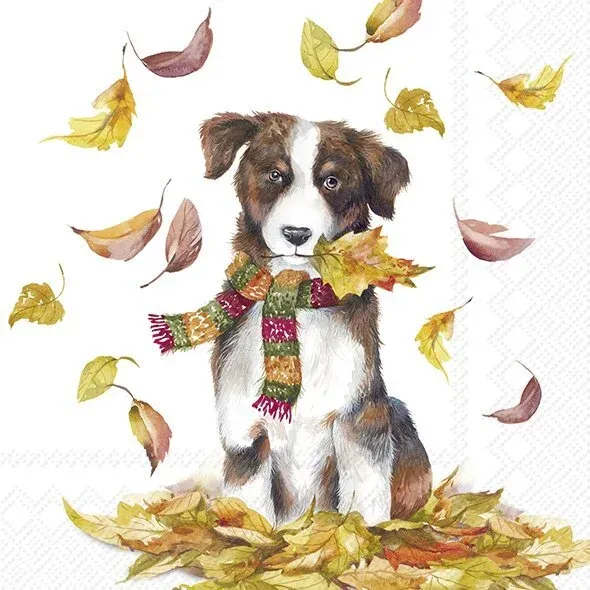 COCKTAIL NAPKIN - DOG HAVING FUN