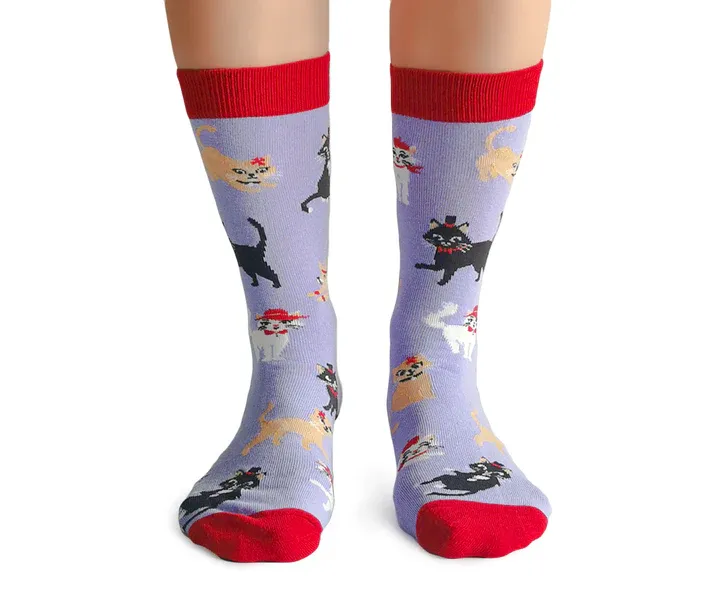 2292 - WOMEN'S SOCKS - CATS IN HATS
