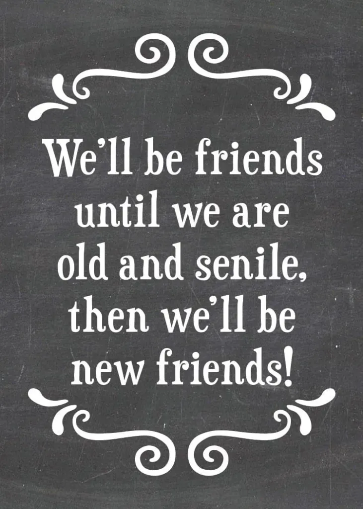 479-SFM0022 - MAGNET / NEW FRIENDS
