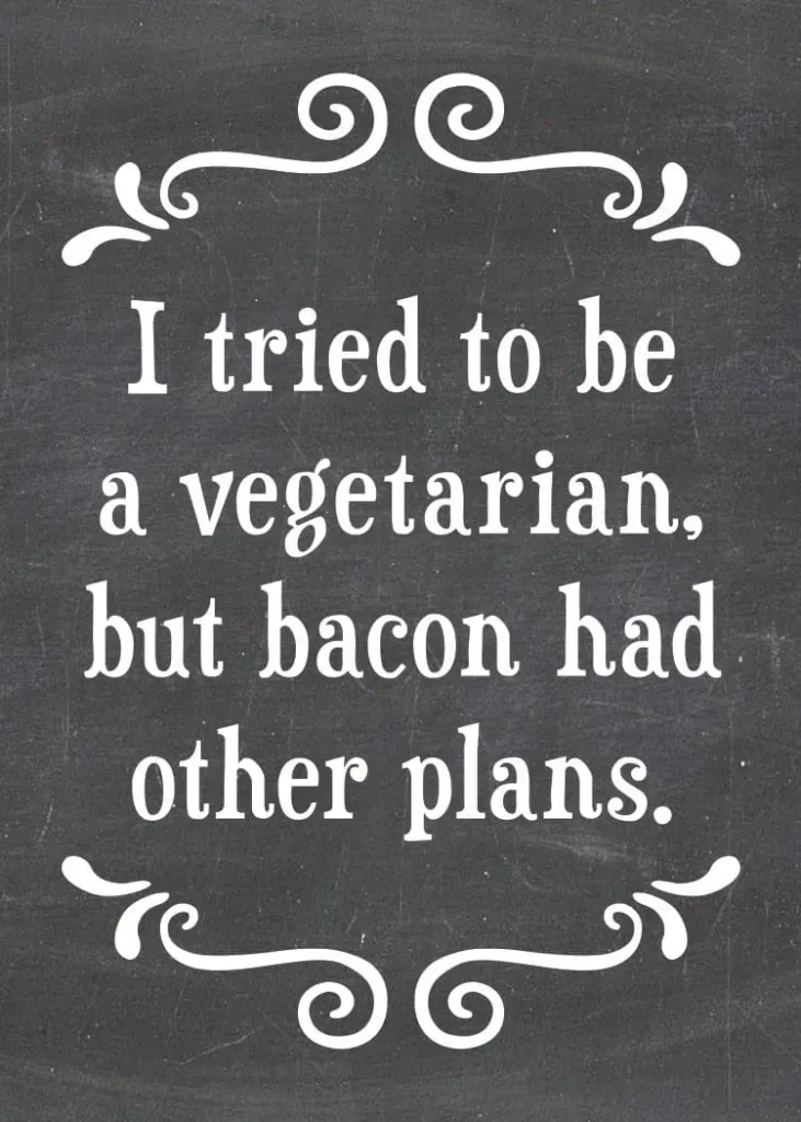 479-SFM0164 - MAGNET / BACON HAD PLANS