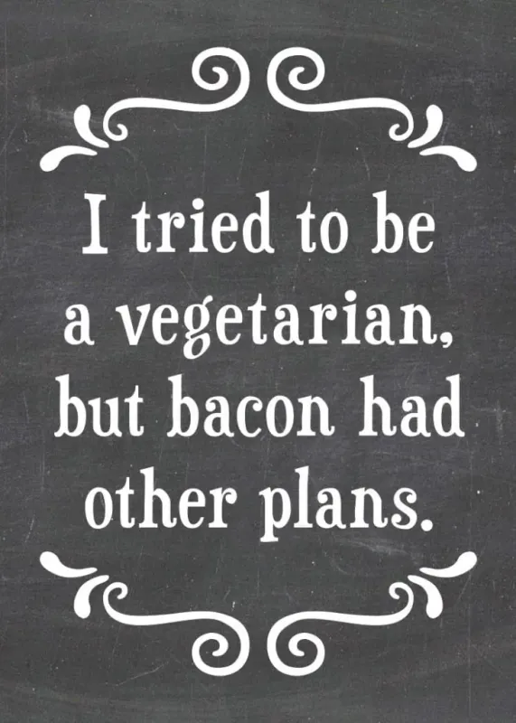 479-SFM0164 - MAGNET / BACON HAD PLANS