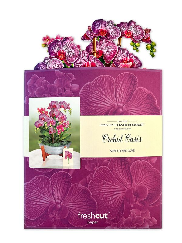 327-3723 - POP-UP FLOWER BOUQUET - ORCHID OASIS