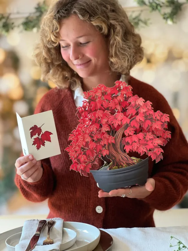 327-3740 - POP-UP FLOWER BOUQUET - RED MAPLE TREE