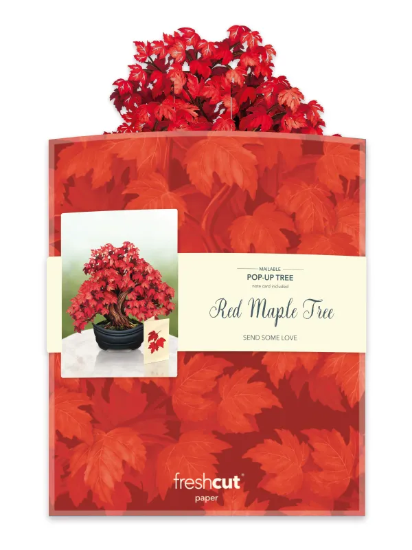 327-3740 - POP-UP FLOWER BOUQUET - RED MAPLE TREE