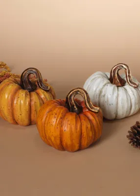 G2484350 - HARVEST PUMPKIN - 3/ASST'D